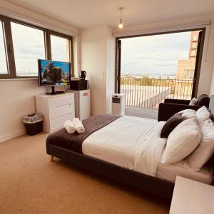 Μια τηλεόραση ή/και κέντρο ψυχαγωγίας στο Riverside Rooms and Apartments