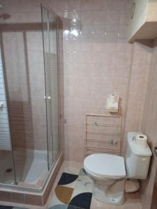 ein Badezimmer mit Toilette und Glasdusche in der Unterkunft appartement les belettes chaleureux et cosy in Peisey-Nancroix