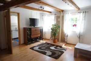 a living room with a television and a rug at Ferienwohnungen Tietgen in Katharinenhof