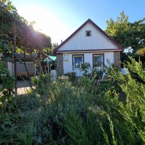 Φωτογραφία από το άλμπουμ του House with flowers σε Sanzhiyka