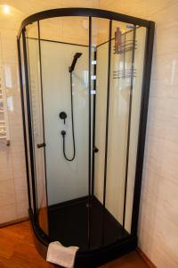 a shower in a bathroom with a glass door at Apartament Rustykalny in Ostrowiec Świętokrzyski