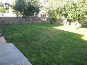A garden outside Casa Theoni