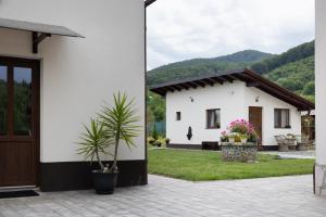 a house with a potted plant in front of it at Seren Natura Retreat in Sebeşu de Sus
