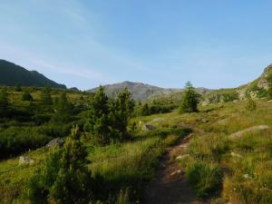 un sentier dans un champ herbeux avec des montagnes en arrière-plan dans l'établissement Almhütte Grosserhütte, à Katschwald