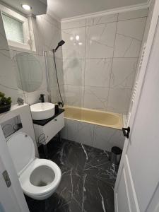 a bathroom with a toilet and a sink at Apartment Central in Onești