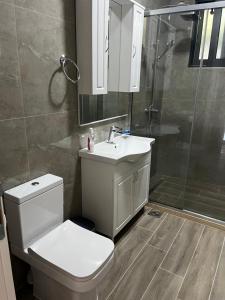 ein Badezimmer mit Toilette, Waschbecken und Dusche in der Unterkunft ALOHA Beach front Vacation Rental in Ulcinj + 63 Fotos
