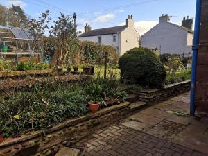 un jardin avec des plantes en pot dans une cour dans l'établissement Faith Cottage, à Brampton