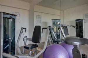 Fitness centrum a/nebo fitness zařízení v ubytování Wagtails