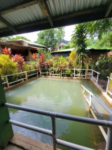 a large pool of water in a yard at Tia's Bamboo Cottages Restaurant, Bar & Sulphur Spa in Roseau +15 photos