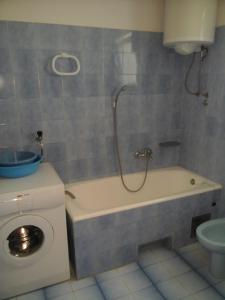 a bathroom with a tub and a toilet and a shower at Pave Apartment in Betina