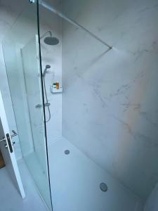 a bathroom with a shower with a glass door at Grote Markt suite 3 in Antwerp +16 photos