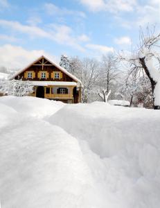a pile of snow in front of a house at Salamandra Village in Kozevo