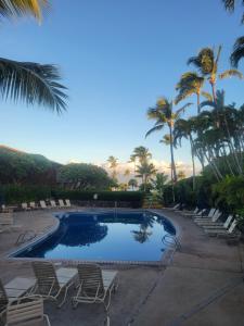 a swimming pool with lounge chairs and palm trees at Napili Shores - Ocean Front Ground Floor in Kahana