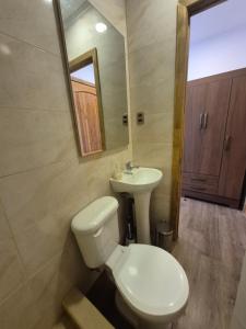a bathroom with a toilet and a sink at hostal perez de arce in Punta Arenas