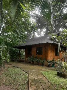 Φωτογραφία από το άλμπουμ του Dumaguete Oasis Bahay Kubo near City Mall and Airport σε Daro +22 φωτογραφίες