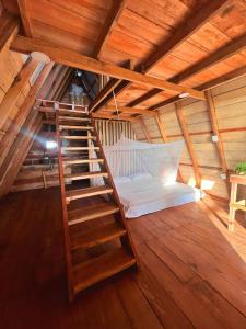 Foto dalla galleria di Origen Zelvamar a Bahía Solano