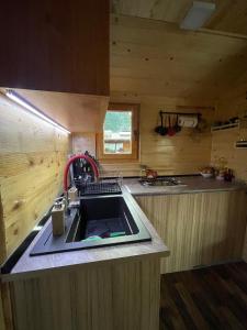 Fotografie z fotogalerie ubytování Splav Panda v destinaci Perućac