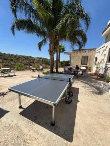 a ping pong table in front of a palm tree at Villa La Rosa in Chiaramonte Gulfi