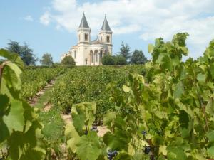 a building in the middle of a field of grapes at La maison du père Bellessort in Régnié