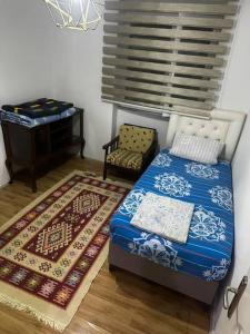 a bedroom with a bed and a chair and a rug at Green AirPort apart in Arnavutköy