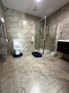 a bathroom with a shower and a toilet and a sink at Railway House, Halfway in Ballinhassig +40 photos