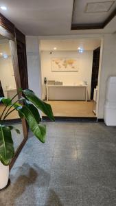昌原市Jin Stay Hotel的一间设有桌子和盆栽的等候室