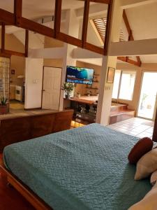 Ένα ή περισσότερα κρεβάτια σε δωμάτιο στο Private Apt, AC, Jacuzzi, parking Centro