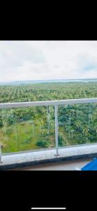 Příroda nedaleko rezortu