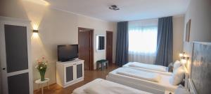 Televisyen dan/atau pusat hiburan di Pârâul Rece Transfăgărășan