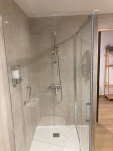 a shower with a glass door in a bathroom at Studio&Rooms Ortuzar in Durango +100 photos