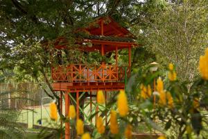 a red tree house in a tree at Ecohotel La Casona Pereira in Pereira