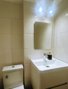 a bathroom with a sink and a toilet and a mirror at Apartment Mukarram in Santiago