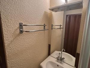 une salle de bain avec un lavabo et un miroir dans l'établissement Studio 4 pers, terrasse, WIFI, parking, au pied des pistes à Besse - FR-1-814-33, à Besse-et-Saint-Anastaise 4 autres photos