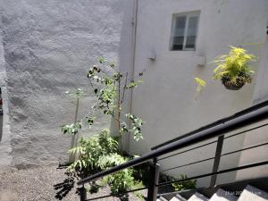 Gallery image of Loft Diana - Tres Reinas Cuernavaca in Cuernavaca