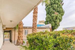 Zahrada ubytování OYO Gateway Motel Las Vegas North Strip/Fremont St. Area + 19 fotografií