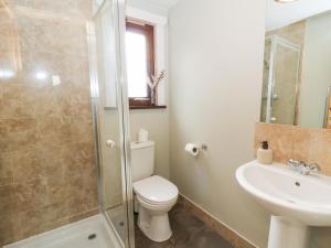 a bathroom with a toilet and a sink and a shower at Sunny View in Rhayader +33 photos