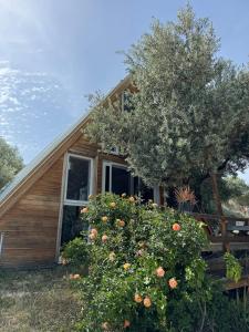 a house with a tree and a bush with flowers at Bungalow-8 in Karaburun Boyabağ Bay in Karaburun