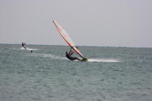 Vindsurfning vid eller i närheten av lägenheten