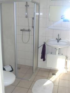 a bathroom with a shower and a sink at Vakantiehuis Lochem in Lochem