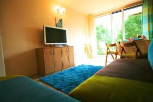 a bedroom with a television and a blue rug at Apartament Niebieskie Narie in Kretowiny