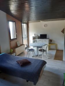 Postel nebo postele na pokoji v ubytování Beau studio en attique, Crans-Montana Aminona