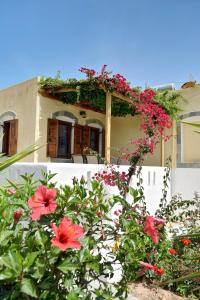 a house with flowers in front of it at Grandes Apartments Kouremenos in Palekastron