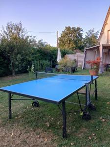 a blue ping pong table in a yard at Le Chalet aux portes de Chambord in Muides-sur-Loire