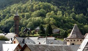 Příroda nedaleko apartmánu