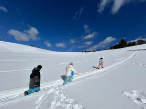 Guesthouse HOALOHA 4 SEASONS durante el invierno