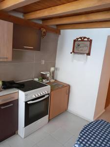une petite cuisine avec une cuisinière et un évier dans l'établissement Villa Sissy, à Agia Paraskevi 11 autres photos
