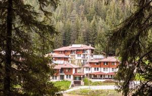a group of buildings in a forest with trees at Boriki Complex in Pamporovo