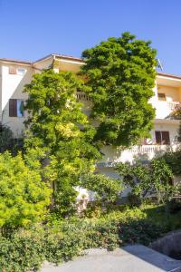 two trees in front of a building at Apartment Bruno in Mali Lošinj