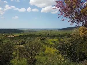 Φυσικό τοπίο κοντά σε αυτό το διαμέρισμα
