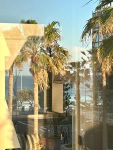 Příroda nedaleko apartmánu + 25 fotografií